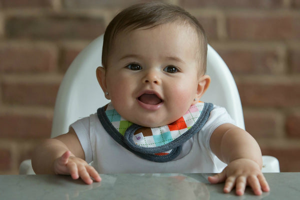 The Burpa Collar™ in Pretty Preppy